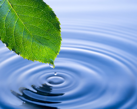 Environmental Impact Assessment