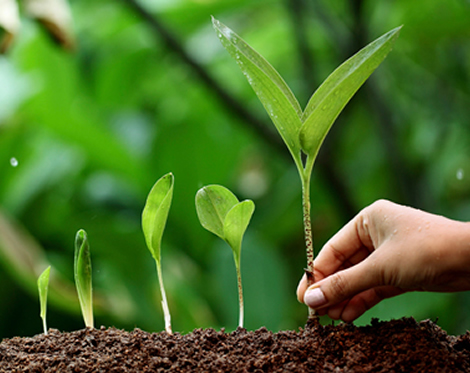 Consultation in Environmental planning