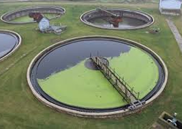 wet land process sewage treatment and disposal