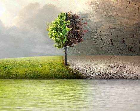 Environment planning and designing
